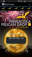 Pensacola Pelican Drop Cartaz