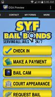 Set You Free Bail Bonds 截图 2