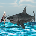 Angry Sharks