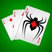 Spider Solitaire: Card Game