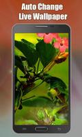 Auto Change Live Wallpaper Ekran Görüntüsü 3