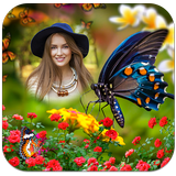 Butterfly Photo Frames أيقونة
