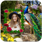 Peacock Photo Frames आइकन