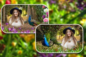 Peacock Photo Frames स्क्रीनशॉट 1