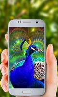 2 Schermata Peacock Live Wallpaper