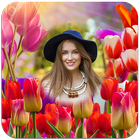 Tulip Flower Photo Frames Zeichen
