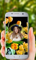 Tulip Flower Photo Frames постер