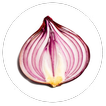 محرك البحث Onion