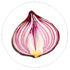 เครื่องมือค้นหา Onion ไอคอน