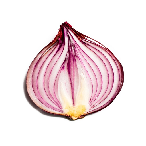 Onion検索エンジン