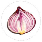 Moteur de recherche Onion icône