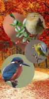 MyPhotoCollage ảnh chụp màn hình 1