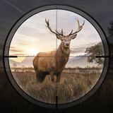 Hunting Sniper-APK