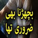 Bichrrna Bhi zarori urdu Novel APK