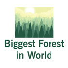 Biggest Forest in World icono