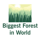 Biggest Forest in World APK