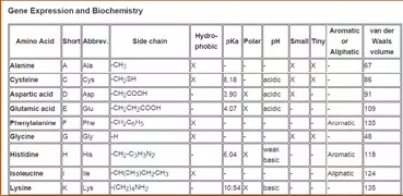 Basic Biochemistry