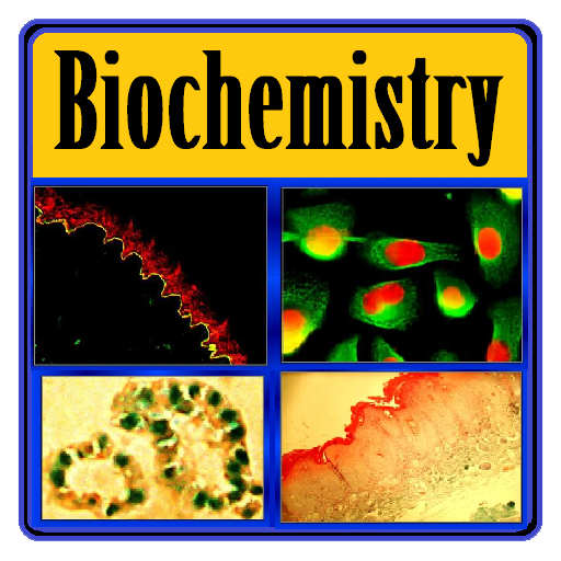 Basic Biochemistry