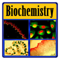 Basic Biochemistry