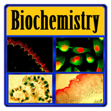 Basic Biochemistry 아이콘