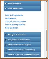 Basic Biochemistry capture d'écran 3