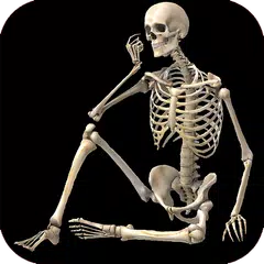 Skeletal System (Anatomy) APK Herunterladen