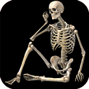 Skeletal System (Anatomy) APK