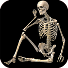 Skeletal System (Anatomy) icon