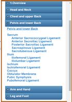 Skeletal System (Anatomy) screenshot 2