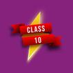 Class 10 MCQ ícone