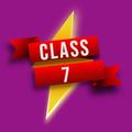 Class 7 MCQ