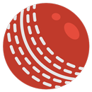 Cricket Practice APK