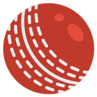 Cricket Practice icon