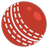 Cricket Practice APK