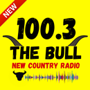 100.3 The Bull Houston 📻 APK