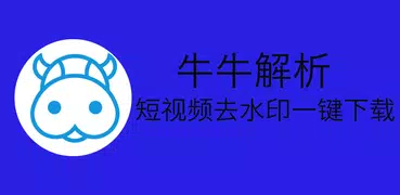 视频去水印下载器《牛牛解析》支持Tiktok抖音快手众多平台