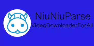 Video Downloader｜NiuNiuParse