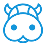 Video Downloader