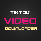 Video Downloader for Tiktok icône