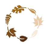 KdK (Kontakt der Kontinenten)