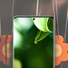 papel de parede macro иконка