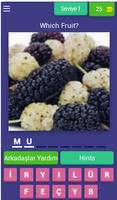 Quiz Fruits - Learn and Quiz Plakat