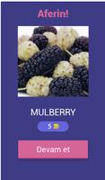 Quiz Fruits - Learn and Quiz imagem de tela 1