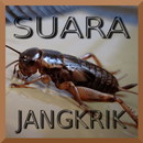 Kumpulan Suara Jangkrik APK