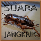 Kumpulan Suara Jangkrik أيقونة