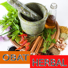 Obat Herbal Tradisional Alami icône