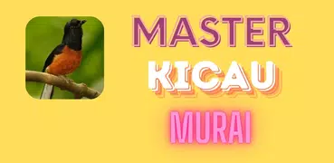 Master Kicau Murai