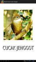 Master Kicau Cucak Jenggot 포스터