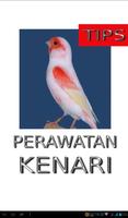 Tips Perawatan Burung Kenari โปสเตอร์