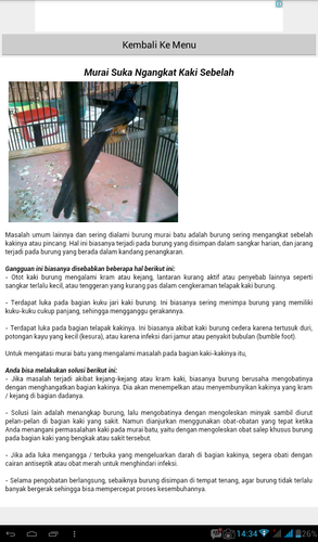 Tips Perawatan Burung Murai Batu Apk 1 3 Download For Android